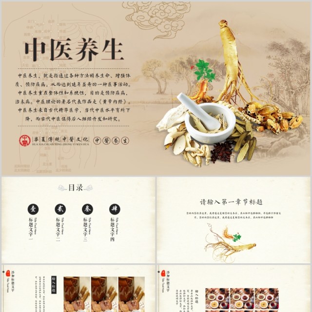 简约简洁中医文化PPT模板 简约简洁中医文化PPT模板