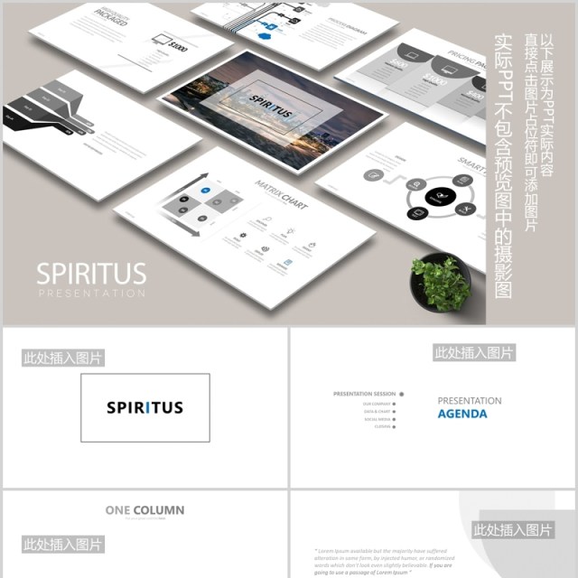 高端灰色简约公司宣传介绍图片排版设计PPT模板素材SPIRITUS Powerpoint