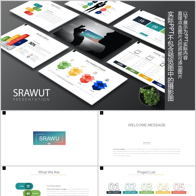 创意商务项目计划山脉数据人物用户画像分析PPT可插图素材模板Srawut Powerpoint