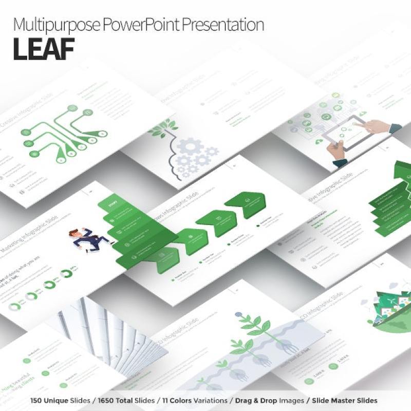 多用途PPT演示幻灯片模板 Leaf Multipurpose PowerPoint Presentation Template