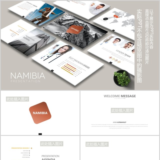 创意图片占位符公司宣传介绍通用PPT可视化图表模板NAMIBIA Powerpoint