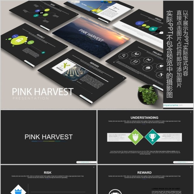数据分析工作汇报PPT信息可视化模板PINK HARVEST Powerpoint 数据分析工作汇报PPT信息可视化模板PINK HARVEST Powerpoint