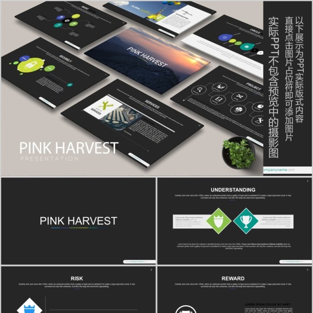 数据分析工作汇报PPT信息可视化模板PINK HARVEST Powerpoint