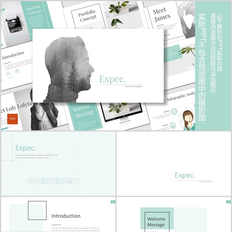 公司宣传历史时间轴PPT模板版式设计Expec - Powerpoint Template