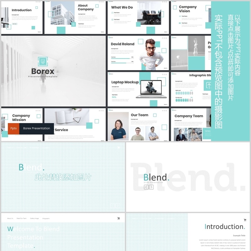 简洁公司简介产品宣传PPT模板版式设计Borex - Powerpoint Template
