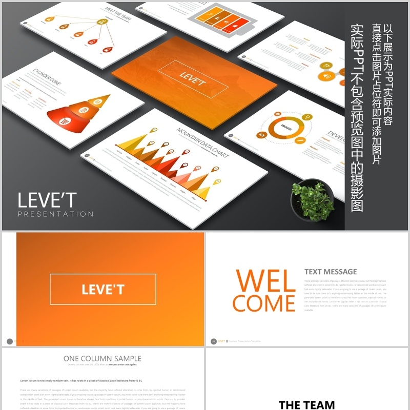 创意组织架构流程图信息图表PPT可插图排版素材Levet Powerpoint