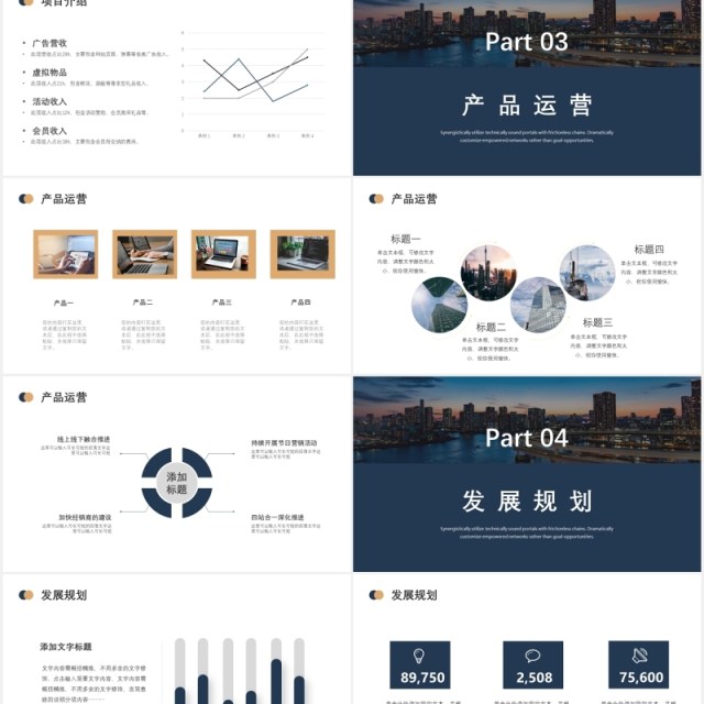 简约商业计划项目策划书PPT模板 简约商业计划项目策划书PPT模板