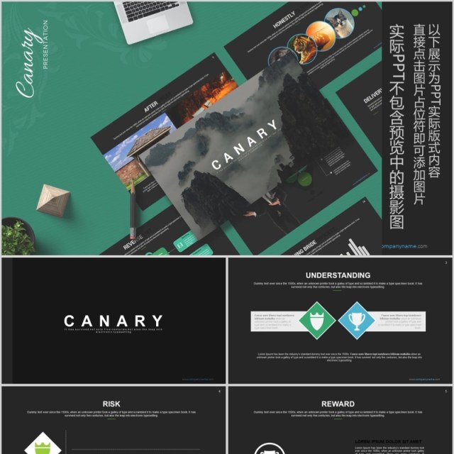 高端数据分析可视化PPT信息图表模板Canary - Powerpoint Template