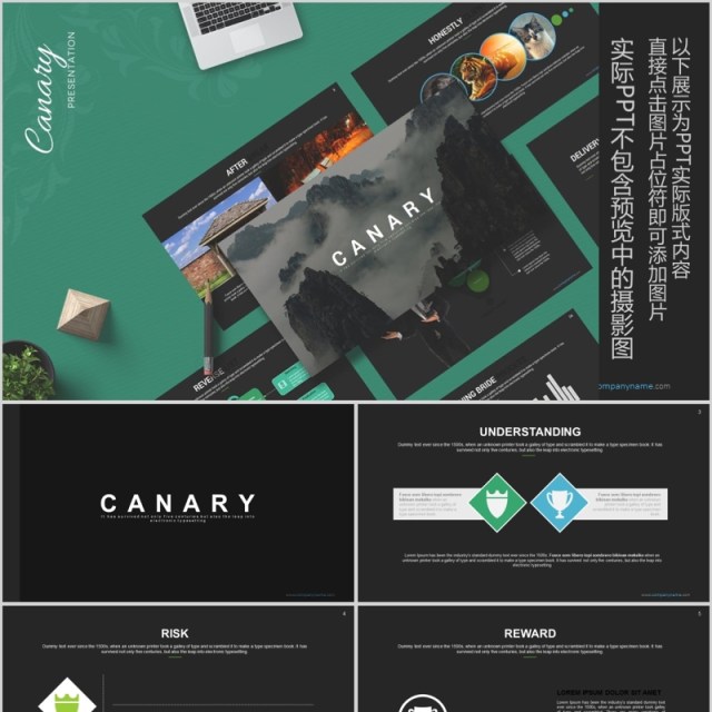 高端数据分析可视化PPT信息图表模板Canary - Powerpoint Template