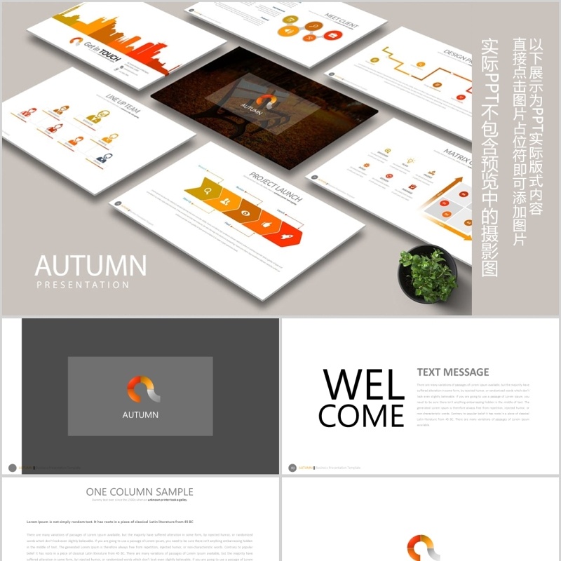 简洁商务公司简介PPT信息图表模板AUTUMN Powerpoint