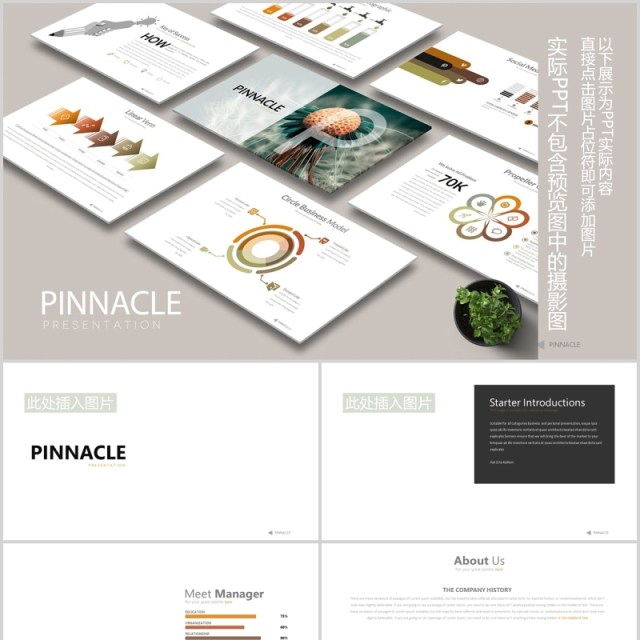 高端公司宣传介绍战略规划可视化时间轴图表PPT可插图排版模板PINNACLE Powerpoint