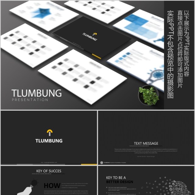 数据分析PPT信息图表版式模板设计Tlumbung Powerpoint