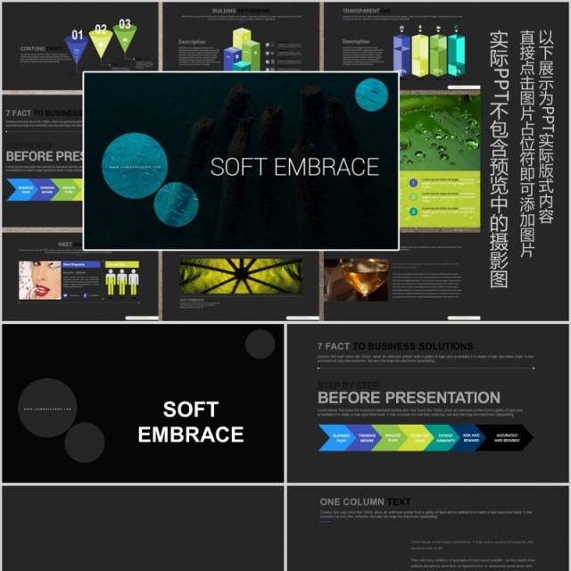 数据分析可视化工作计划PPT信息图表模板SOFT EMBRACE Powerpoint