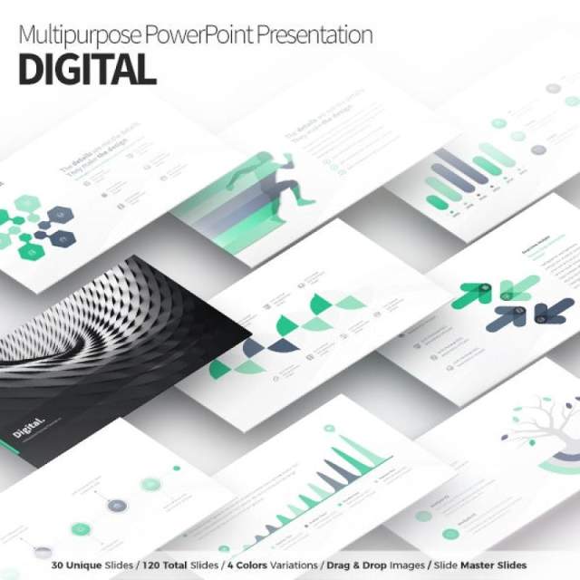 数字PPT信息图表模板Digital Multipurpose PowerPoint Presentation