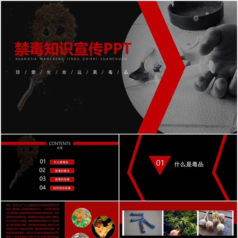 禁毒知识教育宣传课件PPT模板
