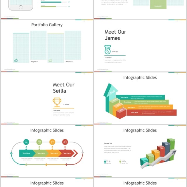 多彩公司介绍可视化信息图表PPT模板版式排版Expert - Powerpoint Template