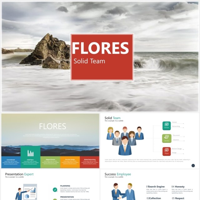 多功能实用可视化数据信息图表PPT素材模板flores powerpoint template