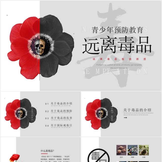 青少年预防教育远离毒品禁毒宣传PPT模板 青少年预防教育远离毒品禁毒宣传PPT模板