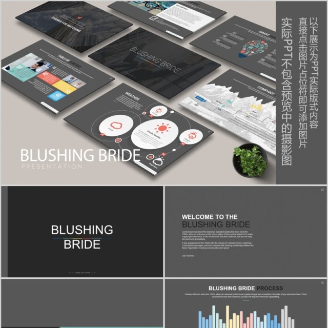 产品介绍公司宣传PPT版式设计模板BLUSHING BRIDE Powerpoint 产品介绍公司宣传PPT版式设计模板BLUSHING BRIDE Powerpoint