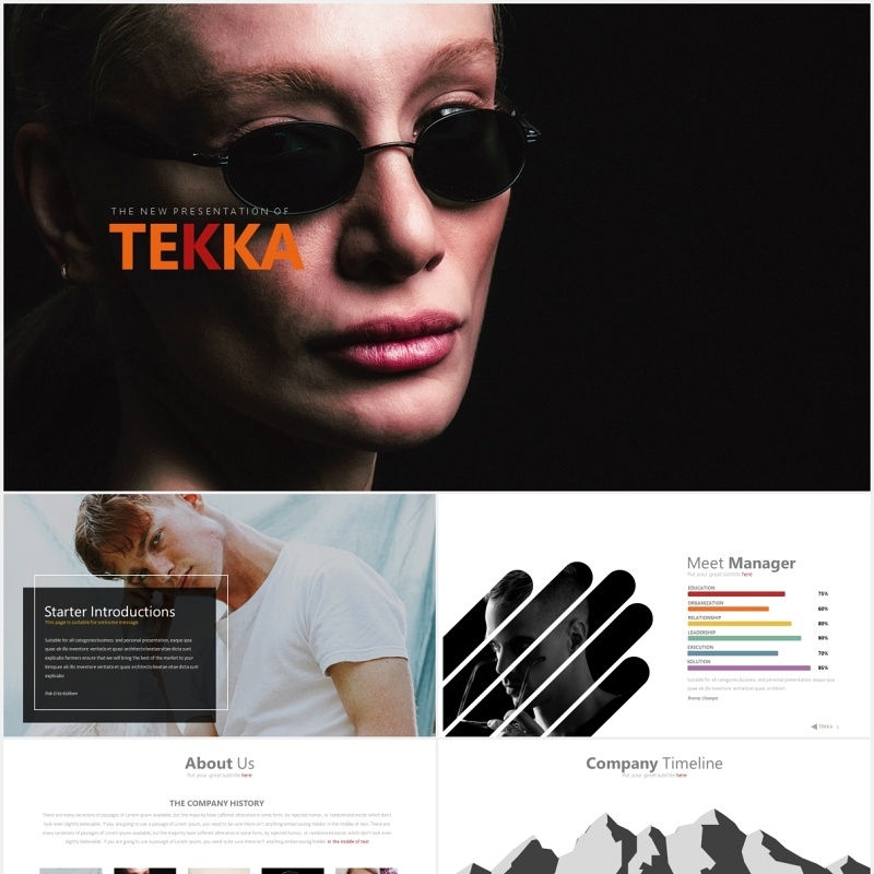 高端商务公司发展时间轴项目目标可视化图表PPT目标tekka powerpoint