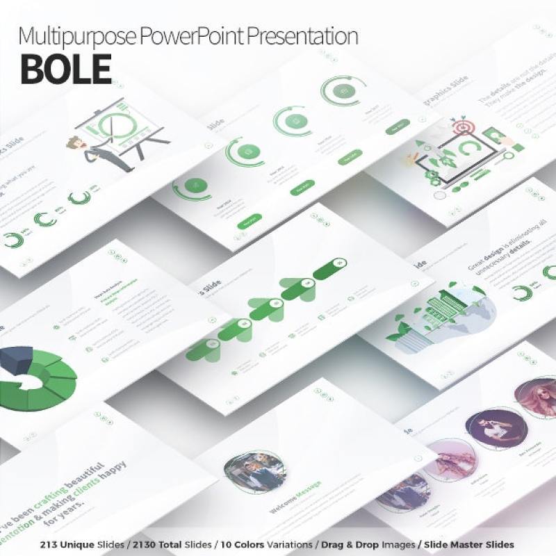 多用途PPT幻灯片模板Bole Multipurpose PowerPoint Presentation