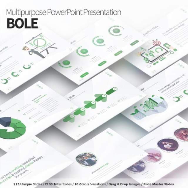 多用途PPT幻灯片模板Bole Multipurpose PowerPoint Presentation