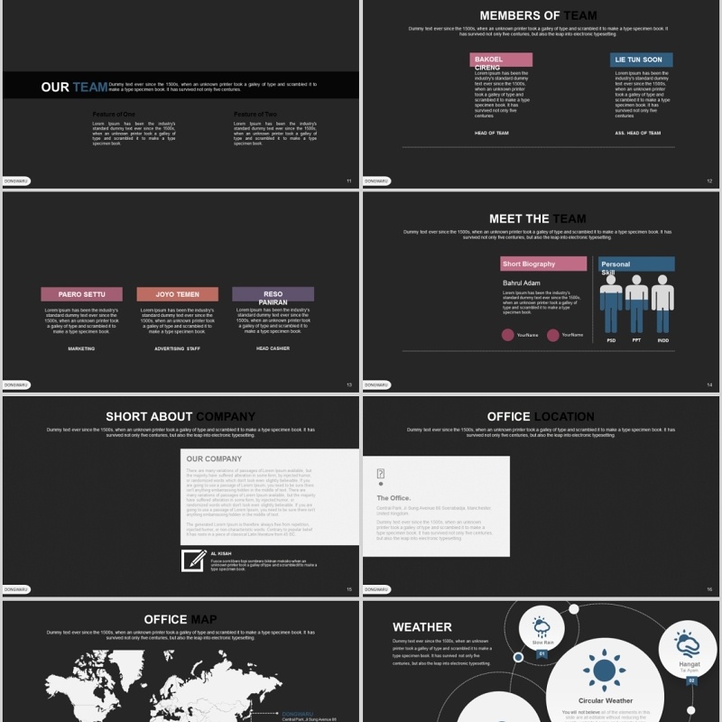 商务PPT信息图表模板Dongwaru Powerpoint