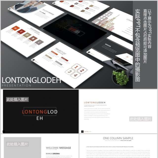 简约公司宣传介绍PPT图片排版设计模板素材Lontonglodeh Powerpoint