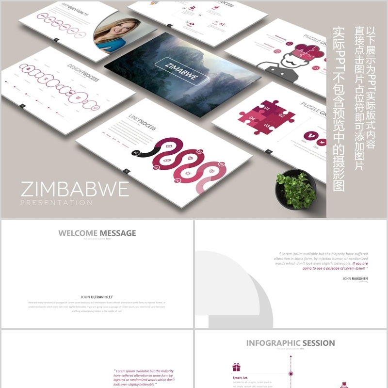 简洁玫瑰色商务个性公司简介PPT模板可插图片ZIMBABWE Powerpoint