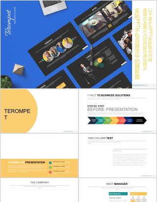 数据图表分析工作通用PPT模板Terompet - Powerpoint Template