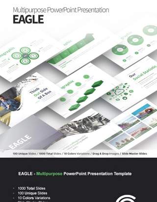 多功能PPT信息演示模板EAGLE ultipurpose PowerPoint Presentation Template