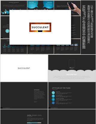 优质创意版式设计PPT工作模板SUCCULENT Powerpoint