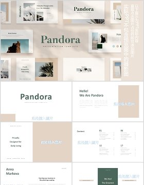 简约图片排版设计PPT模板Pandora Powerpoint