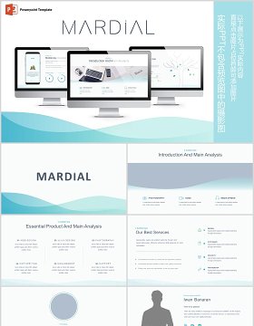 简约公司介绍产品简介PPT信息图表模板Mardial Powerpoint Template