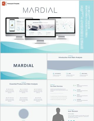 简约公司介绍产品简介PPT信息图表模板Mardial Powerpoint Template