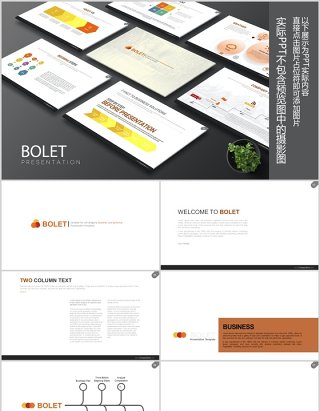 可视化信息图表流程图商务图片排版PPT模板素材Bolet Powerpoint