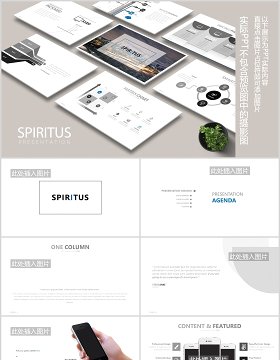 高端灰色简约公司宣传介绍图片排版设计PPT模板素材SPIRITUS Powerpoint