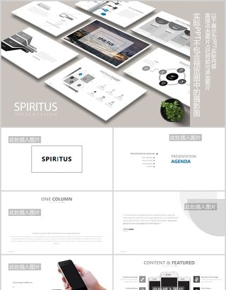 高端灰色简约公司宣传介绍图片排版设计PPT模板素材SPIRITUS Powerpoint