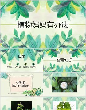 绿色小学二年级语文课件植物妈妈有办法PPT教师说课模板