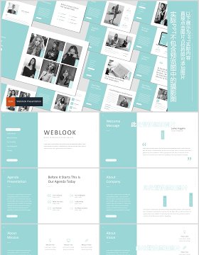 网页版式PPT幻灯片演示模板Weblook Powerpoint Template