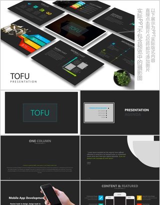 高端公司简介产品介绍PPT版式设计模板Tofu Powerpoint