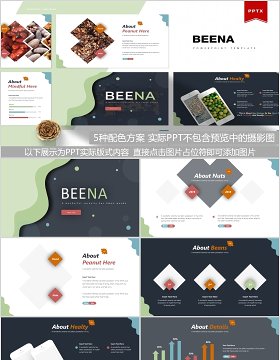 美食餐饮方案策划书PPT模板Beena Powerpoint Template