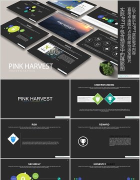 数据分析工作汇报PPT信息可视化模板PINK HARVEST Powerpoint