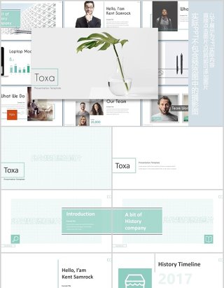 公司简介通用PPT模板Toxa powerpoint template