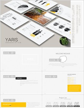 高端商务公司宣传介绍创意大脑图形PPT图片版式设计模板YARIS Powerpoint