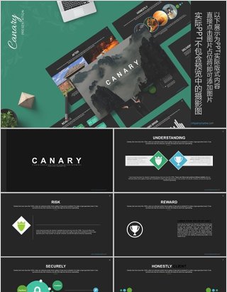 高端数据分析可视化PPT信息图表模板Canary - Powerpoint Template