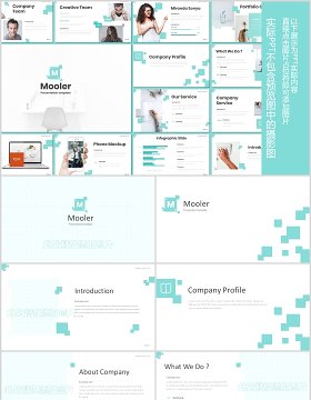 公司项目产品介绍PPT模板版式设计Mooler - Powerpoint Template