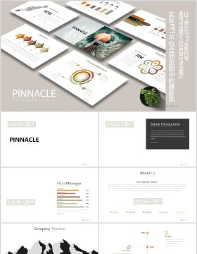 高端公司宣传介绍战略规划可视化时间轴图表PPT可插图排版模板PINNACLE Powerpoint