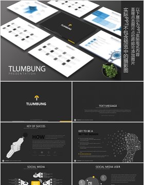 数据分析PPT信息图表版式模板设计Tlumbung Powerpoint