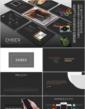 产品计划书工作汇报PPT信息可视化模板Ember Powerpoint